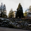 Botanischer Garten Tübingen 22.11.2015