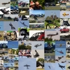 Brazzeltag Technik Museum Speyer,