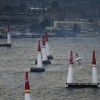 Red Bull Air Race 2014 Gdynia