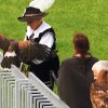 Burg Hohen Neuffen 11.05.2014