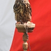 Burg Hohen Neuffen 11.05.2014