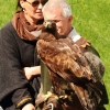Burg Hohen Neuffen 11.05.2014