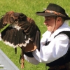 Burg Hohen Neuffen 11.05.2014