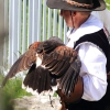 Burg Hohen Neuffen 11.05.2014