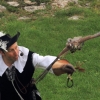 Burg Hohen Neuffen 11.05.2014