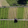 Burg Hohen Neuffen 18.05.2014