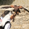 Burg Hohen Neuffen 18.05.2014