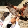 Burg Hohen Neuffen 18.05.2014