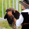 Burg Hohen Neuffen 18.05.2014