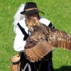 Burg Hohen Neuffen 18.05.2014