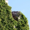 Burg Hohen Neuffen 18.05.2014