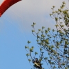 Burg Hohen Neuffen 18.05.2014