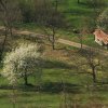 Burg Teck 30.03.2014