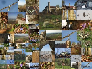 Burg Teck 30.03.2014