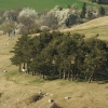 Burg Teck 30.03.2014