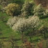 Burg Teck 30.03.2014