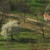 Burg Teck 30.03.2014