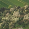 Burg Teck 30.03.2014