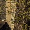Burg Teck 30.03.2014