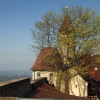 Burg Teck 30.03.2014