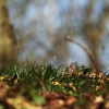 Burg Teck 30.03.2014