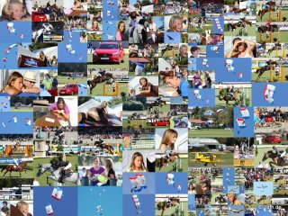 CHI Donaueschingen 2012