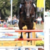 CHI Donaueschingen
