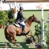 CHI Donaueschingen
