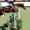 CHI Donaueschingen