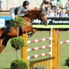 CHI Donaueschingen