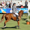 CHI Donaueschingen