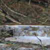 1dfh-09032014-056