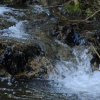 1dfh-09032014-057