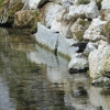 1dfh-09032014-048