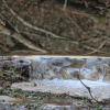 1dfh-09032014-056