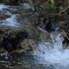 1dfh-09032014-057
