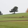 Degerfeld 20.10.2013