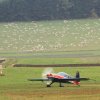 Degerfeld 20.10.2013