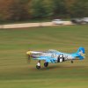 Degerfeld 20.10.2013