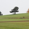 Degerfeld 20.10.2013