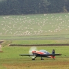 Degerfeld 20.10.2013