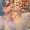 Degerfeld 20.10.2013