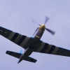 Degerfeld 20.10.2013