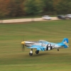 Degerfeld 20.10.2013