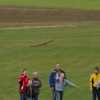 Der kleine Uhu Wettbewerb 25.10.2009 Grabenstetten