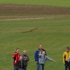 Der kleine Uhu Wettbewerb 25.10.2009 Grabenstetten