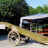Deutscher Mühlentag 2014