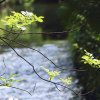 Deutscher Mühlentag in Pfullingen 25.05.2015