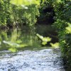 Deutscher Mühlentag in Pfullingen 25.05.2015