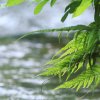 Deutscher Mühlentag in Pfullingen 25.05.2015